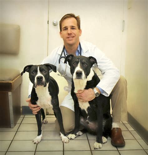 Durango animal hospital - Here, you will find a team who is empowered to do the best work of their lives. Who is constantly supported, learning, and growing. Who isn’t overworked, and is able to …